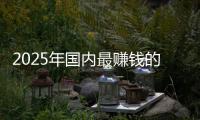 2025年国内最赚钱的车企是谁：排名第一没有悬念
